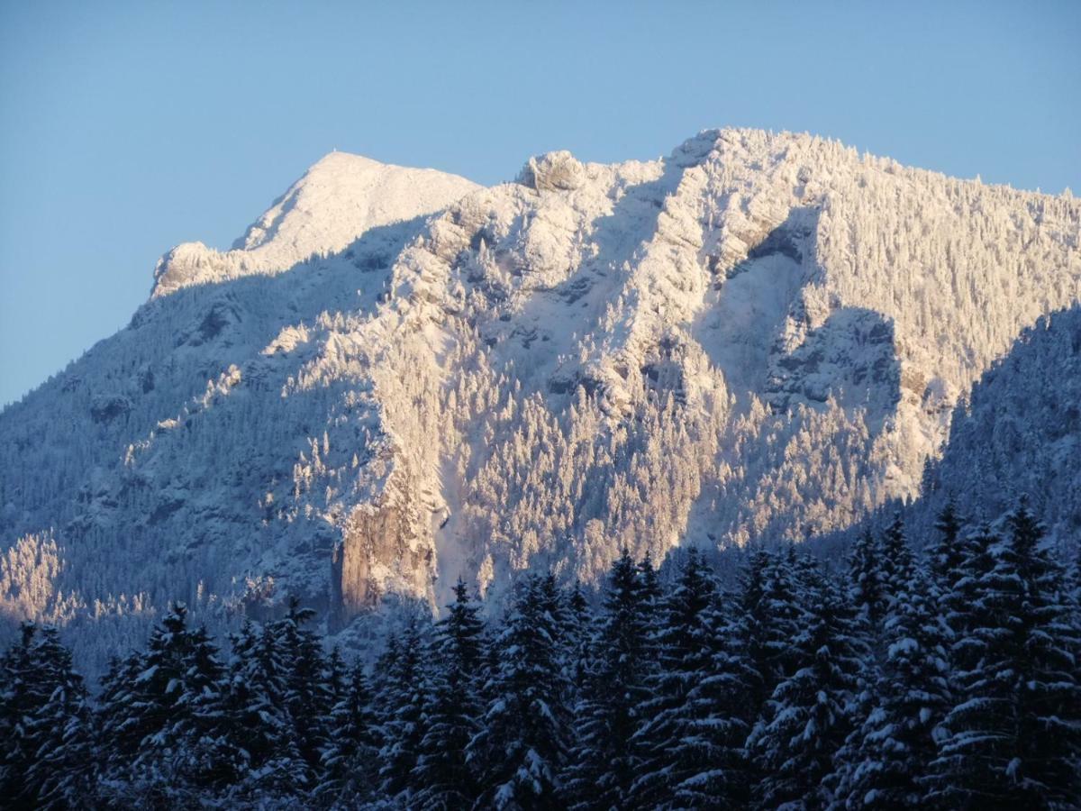 Haus Bergschmied Lejlighed Inzell Eksteriør billede